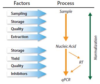 qPCR 是一个多步骤过程，每个步骤都必须受到控制