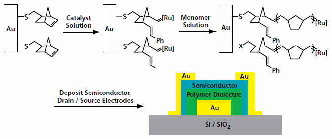 gold-gate-electode Modification of a gold gate electode for the surface initiated polymerization reaction to grow a dielectric layer.