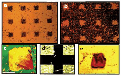 optical-micrographics Optical micrographics of patterned arrays of organic semiconductor crystals nucleated selectively on to self-assembled terphenyl thiol template patterens