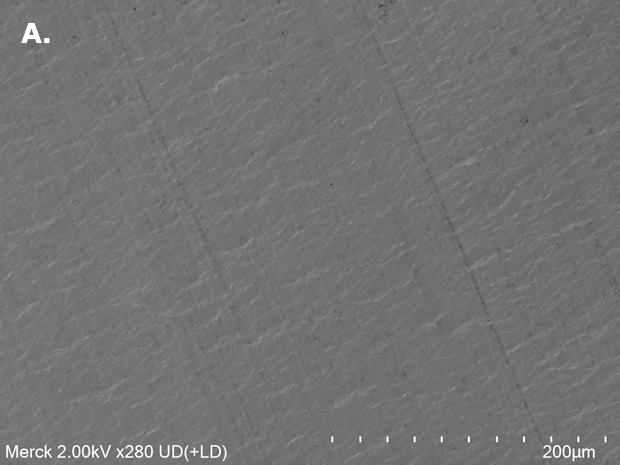 SEM image of pristine Al foil surface Scanning electron microscopy (SEM) image of pristine aluminum (Al) foil surface with no visible corrosion after electrochemical testing.