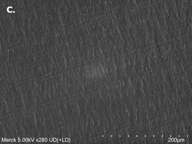 SEM image 0.9 M LiPF₆ + 0.1 M LiFSI Scanning electron microscopy (SEM) image of aluminum (Al) foil surface with minimal visible surface disruption after exposure to 0.9 M LiPF₆ + 0.1 M LiFSI.