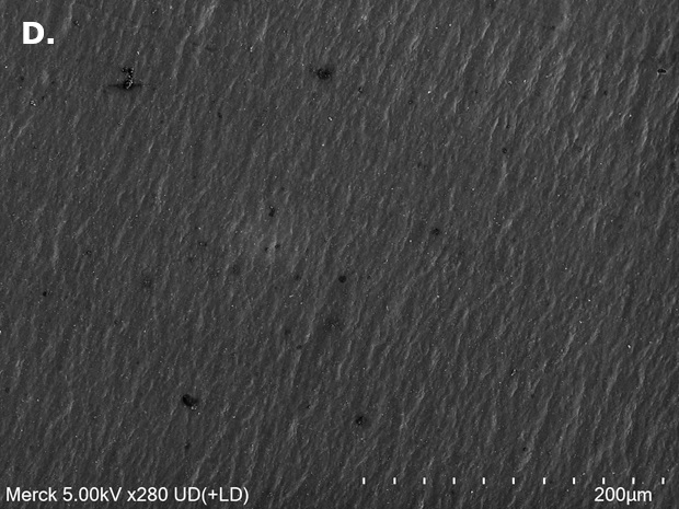SEM image 0.8 M LiPF₆ + 0.2 M LiFSI Scanning electron microscopy (SEM) image of aluminum (Al) foil surface with increases in surface roughness and isolated pit-like features after exposure to 0.8 M LiPF₆ + 0.2 M LiFSI.