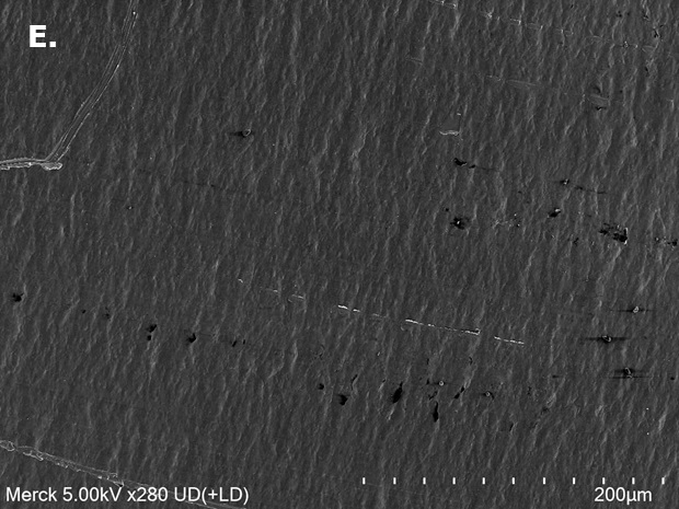 SEM image 0.5 M LiPF₆ + 0.5 M LiFSI Scanning electron microscopy (SEM) image of aluminum (Al) foil surface with more increase in surface roughness and isolated pit-like features after exposure to 0.5 M LiPF₆ + 0.5 M LiFSI.