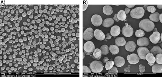 SEM microscopy