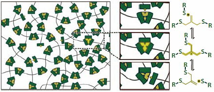 Methacrylate Cross-Linked Networks Methacrylate Cross-Linked Networks