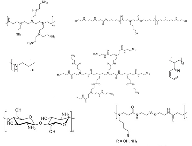 Structures of a variety of cationic polymer carriers including generation 2 poly(amidoamine) (PAMAM) dendrimers