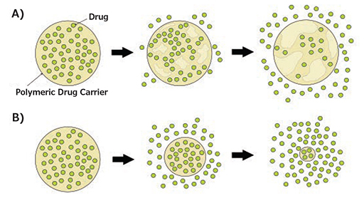 Degradation mechanisms of biodegradable polymeric drug carriers Degradation mechanisms of biodegradable polymeric drug carriers