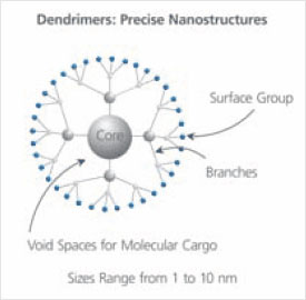 Schematic representation of a G2 dendrimer with 3-fold branching. PAMAM dendrimers have 2-fold branching, resulting in 2x increase in number of surface groups with each generation, G.