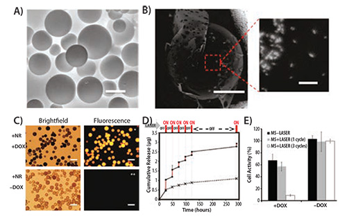 Environmental scanning electron micrograph of polymeric microspheres Environmental scanning electron micrograph of polymeric microspheres