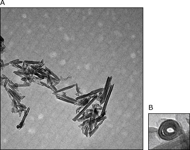 Halloysite nanotubules image Halloysite nanotubules image
