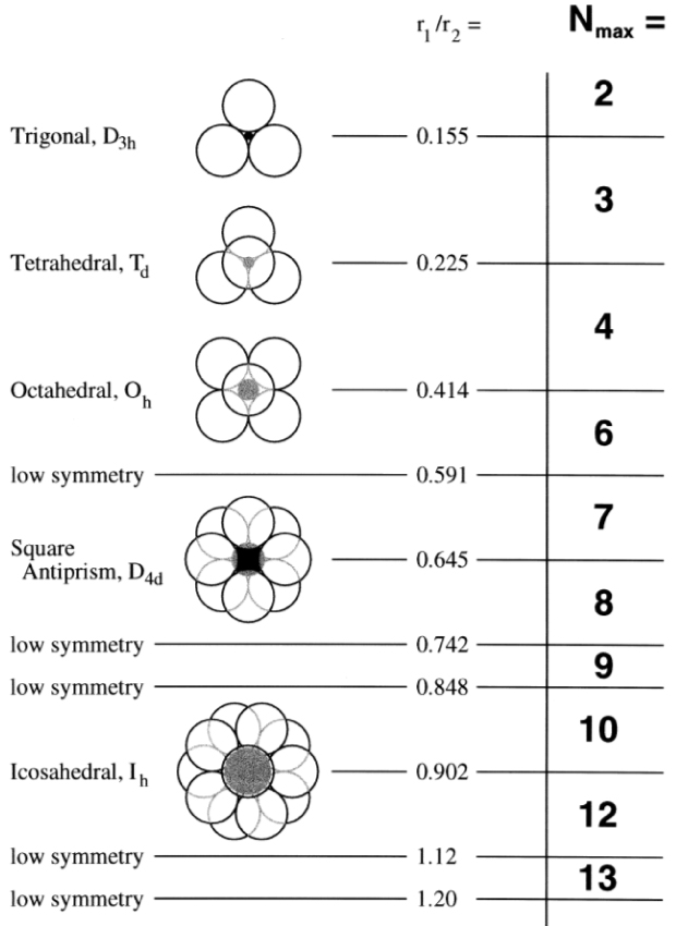 Schematic of PAMAM dendrimer architecural components including the core, interior, and terminal groups. 