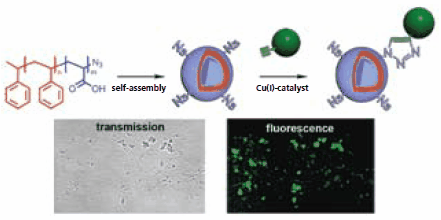 Schematic representation of the polymersome formation Schematic representation of the polymersome formation