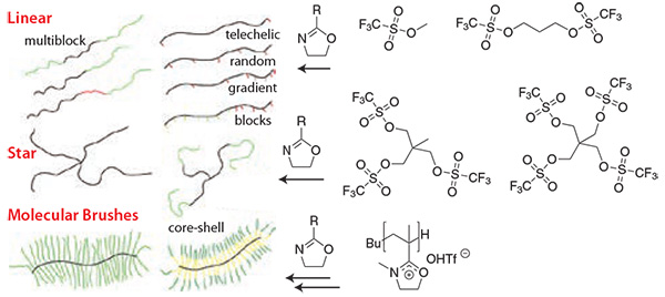 The structural and chemical variability of POx The structural and chemical variability of POx