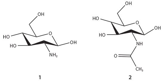 The glucosamine (1) and N-acetyl glucosamine (2) units of chitosan biopolymer The glucosamine (1) and N-acetyl glucosamine (2) units of chitosan biopolymer