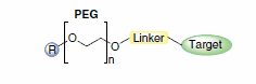 A chemical structure diagram showing polyethylene glycol (PEG) with a repeating unit represented by "n". The structure has a side group labeled "R", a "Linker" in yellow, and a "Target" in a green oval, indicating a connection to a specific target molecule. A chemical structure diagram showing polyethylene glycol (PEG) with a repeating unit represented by "n". The structure has a side group labeled "R", a "Linker" in yellow, and a "Target" in a green oval, indicating a connection to a specific target molecule.