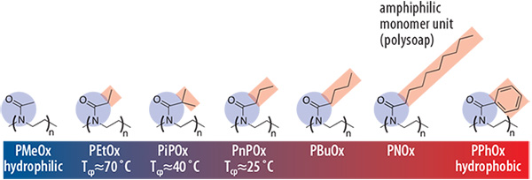 Water solubility of a series of poly(2-oxazoline)s Water solubility of a series of poly(2-oxazoline)s