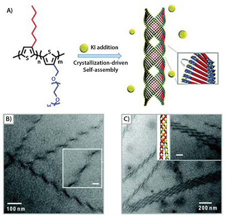 Development of organic semiconductors from highly ordered oligo and polythiophenes A) Molecular structure of P3HT-b-P3(TEG)T diblock copolymers and schematic representation of their assembly into superhelical structures through crystallization in the presence of potassium ions. B) TEM images of copolymer after addition of KI revealed helical ribbons with a regular pitch. Inset: magnified image (scale bar: 20 nm). C) TEM image of multiple-stranded helices. Inset: TEM image and schematic showing association of double helices into quadruple superhelices (scale bar: 100 nm).