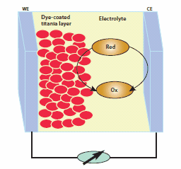 Schematic representation of a dye-sensitized thin layer solar cell.