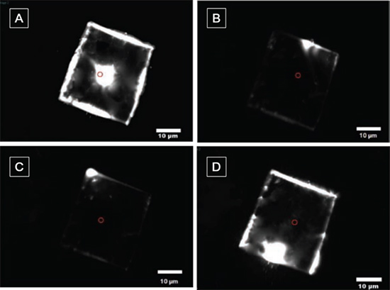 Micro-area PL images obtained by exciting identical tiles at four different positions