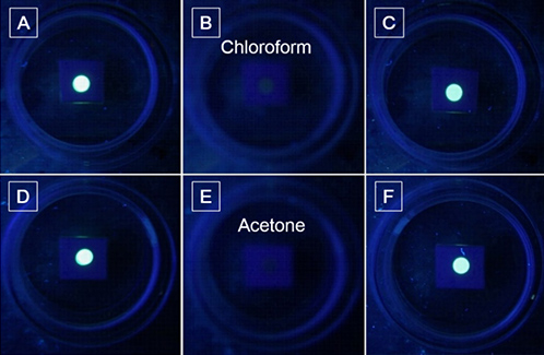 Photos of the HPS spots on the TLC plates placed in the Petri dishes in the (A and D) absence and (B and E) presence of organic vapors