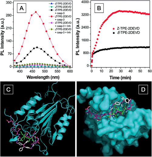 PL spectra of E- and Z-TPE-2DEVD before and after incubation with caspase-3