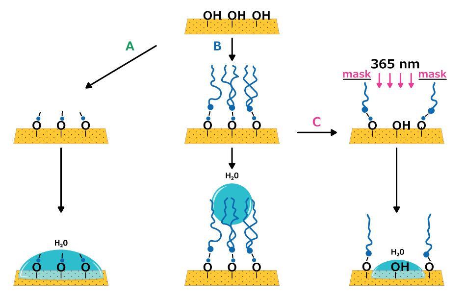 Schematic representation of self-assembled monolayer surface modification SAM modification: short chains for hydrophilic films, long chains for hydrophobic surfaces, photopatterned chains for nanoscale patterns.