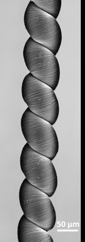 SEM of a coiled CNT yarn by further twisting a twisted CNT yarn
