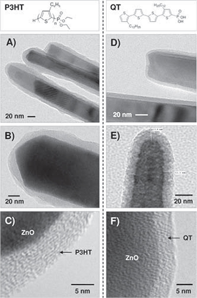 Development of organic semiconductors from highly ordered oligo and polythiophenes A-C) Transmission electron microscopy (TEM) images of ZnO/P3HT core-shell nanowires and D-F) ZnO/QT core-shell nanowires.