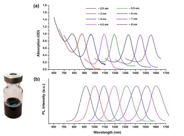 Graphical representation of absorption and emission wavelengths for approximately 4 nm lead sulfide (PbS) quantum dots. Panel (a) shows a series of overlapping curves representing absorption coefficients (Y-axis) across a range of wavelengths from 600 to 1700 nanometers (X-axis). Each curve is labeled with a different quantum dot size from 2.5 nm to 8.0 nm, indicating the size-dependent shift in absorption peaks. Panel (b) displays corresponding photoluminescence intensity curves with similar size-dependent wavelength shifts. Below the graphs, an image of a small glass jar containing dark blue liquid, presumably the PbS quantum dots solution, is shown. Graphical representation of absorption and emission wavelengths for approximately 4 nm lead sulfide (PbS) quantum dots. Panel (a) shows a series of overlapping curves representing absorption coefficients (Y-axis) across a range of wavelengths from 600 to 1700 nanometers (X-axis). Each curve is labeled with a different quantum dot size from 2.5 nm to 8.0 nm, indicating the size-dependent shift in absorption peaks. Panel (b) displays corresponding photoluminescence intensity curves with similar size-dependent wavelength shifts. Below the graphs, an image of a small glass jar containing dark blue liquid, presumably the PbS quantum dots solution, is shown.