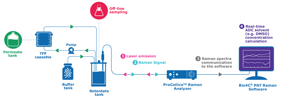 Experimental TFF Step-up for DMSO Removal in ADC Production The experimental for DMSO removal included the TFF cassette, a retentate tank and an inline ProCellis™ Raman analyzer which communicated to the Bio4C® PAT Raman software.