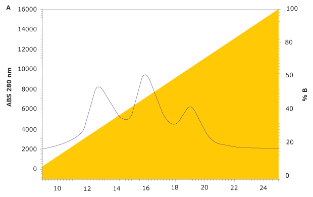FcR affinity chromatographic analysis of rituximab on the new TSKgel® FcR-IIIA-NPR column Three peaks representing variants in the FcR affinity chromatographic analysis of rituximab on the new TSKgel® FcR-IIIA-NPR column