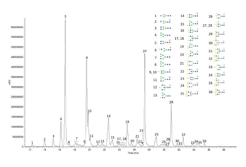 Fluorescence Chromatogram of Procainamide-Labeled Cetuximab Glycans Fluorescence Chromatogram of Procainamide-Labeled Cetuximab Glycans obtained using BIOshell™ Glycan column and LC-MS for characterization of the peaks