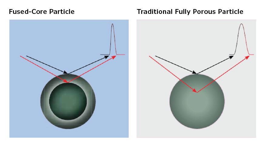 Comparison of diffusion paths in Fused-Core® Particles and Traditional Fully Porous Particles Illustration showing shorter diffusion paths in Fused-Core® Particles in comparison with Traditional Fully Porous Particles.