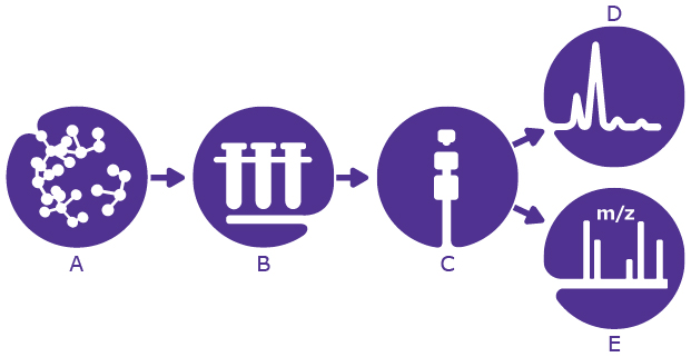 Peptide Mapping workflow for Teriparatide A complete workflow by LC-UV-MS has been developed for teriparatide peptide mapping with 100% sequence coverage.