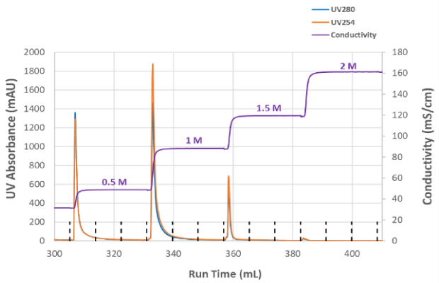 Overall recovery and step elution conductivity conditions and UV absorbance at different salt concentrations. The graph is titled Mustang Q Step Elution 0.5 M to 2.0 M NaCl and shows UV absorbance (mAU) at 0.5 M, 1 M, 1.5 M and 2 M NaCl. UV absorbance was plotted at UV280 ,a blue line, and UV254, and organge line, and indicates the measured conductivity (mS/cm) for each NaCL concentration in a step wise purple line over each run time. 0.5 M has a conductivity at about 55 mS/cm and a UV peak close to 1400mAU for both UV absorbances, 1M has a conductivity at 90 mS/cm and a UV peak about 1900 mAU for both UV absorbances, 1.5M has a conductivity at 120 mS/cm and a UV peak at about 700 mAU for both UV absorbances, and 2M has a conductivity at 160 mS/cm and a UV peak at about 50 mAU for both UV absorbances.