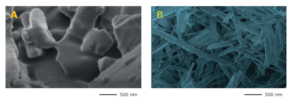 SEM images comparing the particle structures of conventional directly compressible mannitol (A) and particle engineered Parteck® M mannitol (B)