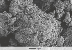 SEM Parteck Parteck® M excipient enables tablets to be compacted at low compression forces.