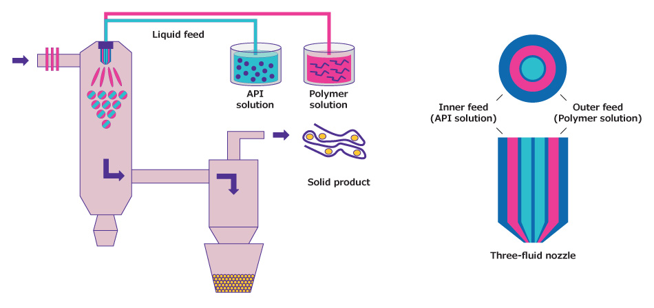 In the spray drying process, the API and polymer are fed into drying chamber either in a single solvent (a two-fluid nozzle set-up), or via individual solvents in a three-fluid nozzle set-up. Droplets containing the API and polymer are formed at the tip of the nozzle in the drying chamber and dried through a stream of hot gas. The dry amorphous solid dispersion is captured in the collection vessel.