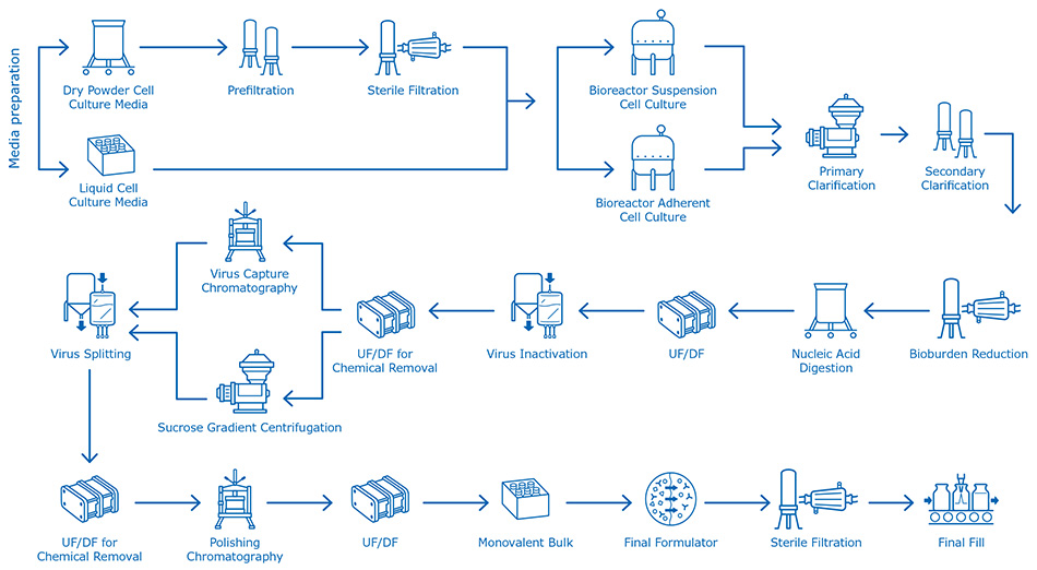 Egg-based influenza vaccine manufacturing process Cell culture-based flu vaccine manufacturing process