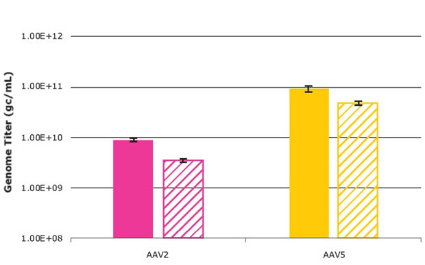 AAV2 and AAV5 genome titers produced from the VirusExpress® 293 AAV Production Platform