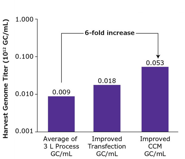 AAV production increase after improving transfection and cell culture media conditions