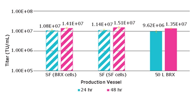Lentivirus production from VirusExpress® 293T cells Lentivirus production from VirusExpress® 293T cells from shake flasks or bioreactor after 24 hours and 48 hours