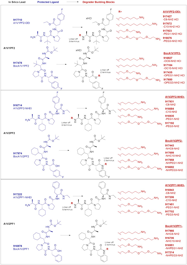 IAP-targeted ligands and degrader building blocks based on in silico screening of AVP mimetics. IAP-targeted ligands and degrader building blocks based on in silico screening of AVP mimetics.