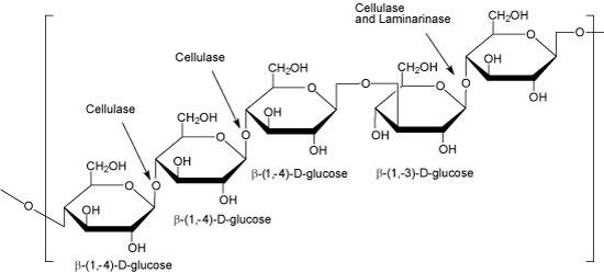 Enzymes for Alternative Energy Research Cerial β-Glucan image