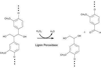 Enzymes for Alternative Energy Research Lignin Peroxidase