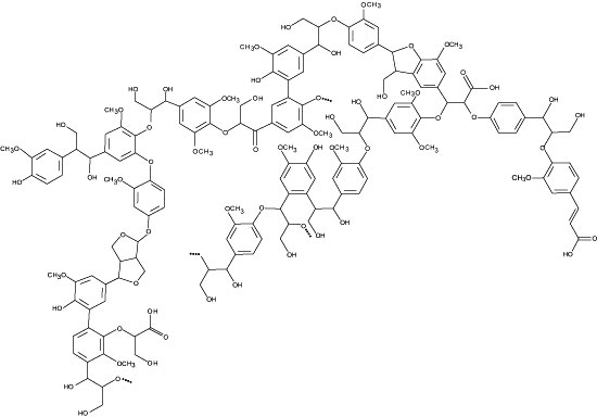 Enzymes for Alternative Energy Research Lignin image