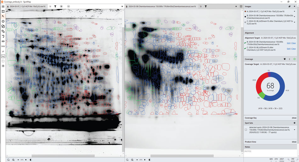 Use of SpotMap software for HCP coverage testing. HCP coverage test with Anti-HCP antibody A. Total protein data obtained from the gel (pre-labelling, left), Western blot data with Anti-HCP antibody A (right). SpotMap version number: 5.1.003.