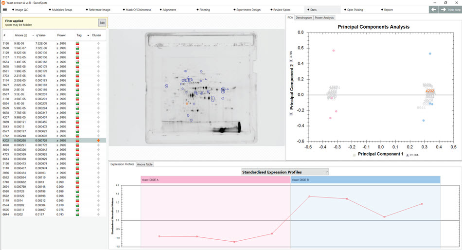 Analysis of upregulated proteins in yeast samples using the SameSpots software. Principal component analysis suggests strong correlation between proteins that were upregulated in the Yeast B vs the Yeast A strain.