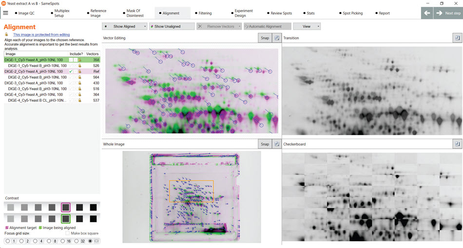 Robust and consistent spot detection using the SameSpots software to analyze the data from figure 12. Subsequent analysis using the SameSpots software of the gels from figure 12 using the automatic alignment feature for spot matching without manual intervention (cropping/rotation/manual alignment) suggests robust and consistent spot detection.