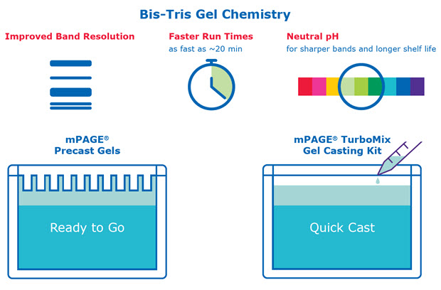 Bis-Tris gel technology features and benefits.